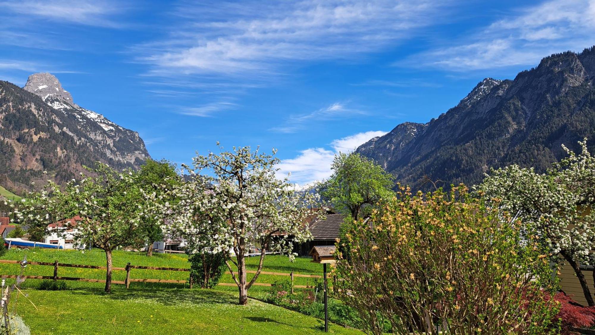 Baers Mountain Stay Ausserbraz Innerbraz Exterior foto